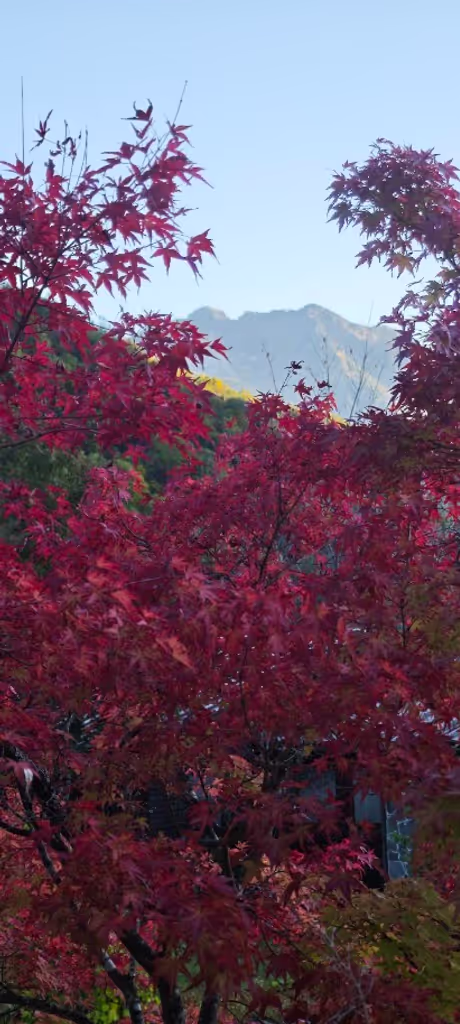 Nagoya Private Tour - 