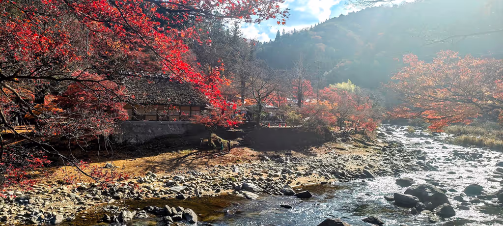 Nagoya Private Tour - 