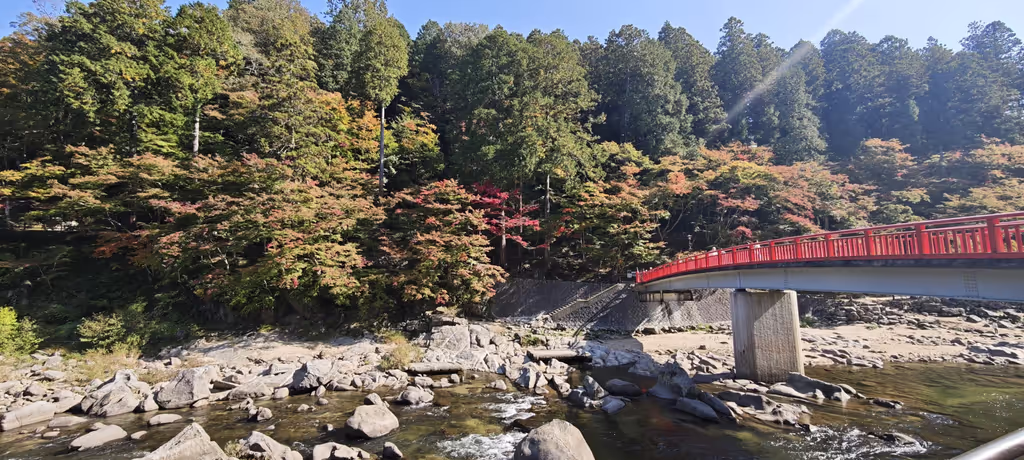 Nagoya Private Tour - 