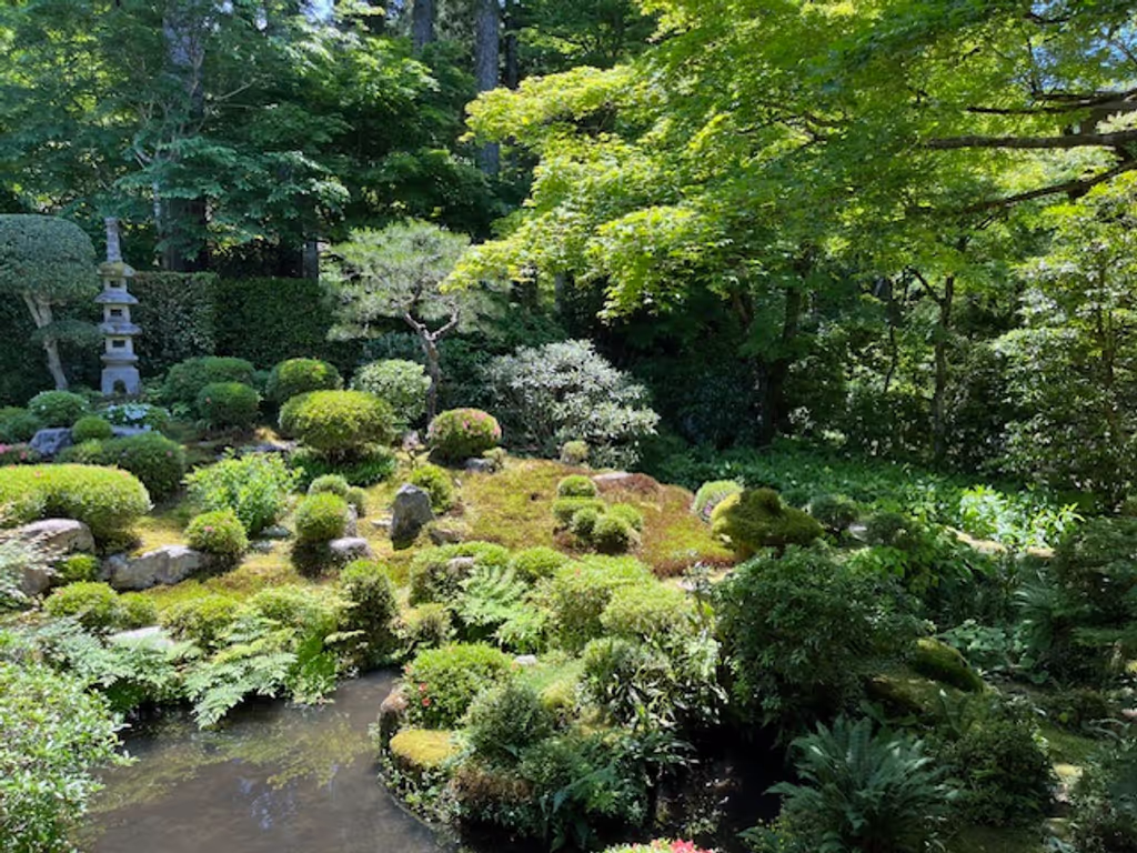Kyoto Private Tour - The garden of Sanzen-in Temple