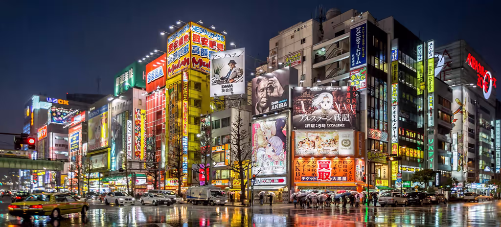Tokyo Private Tour - Akihabara Electrical Town