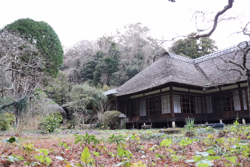 Tokyo Private Tour - Jochiji-temple