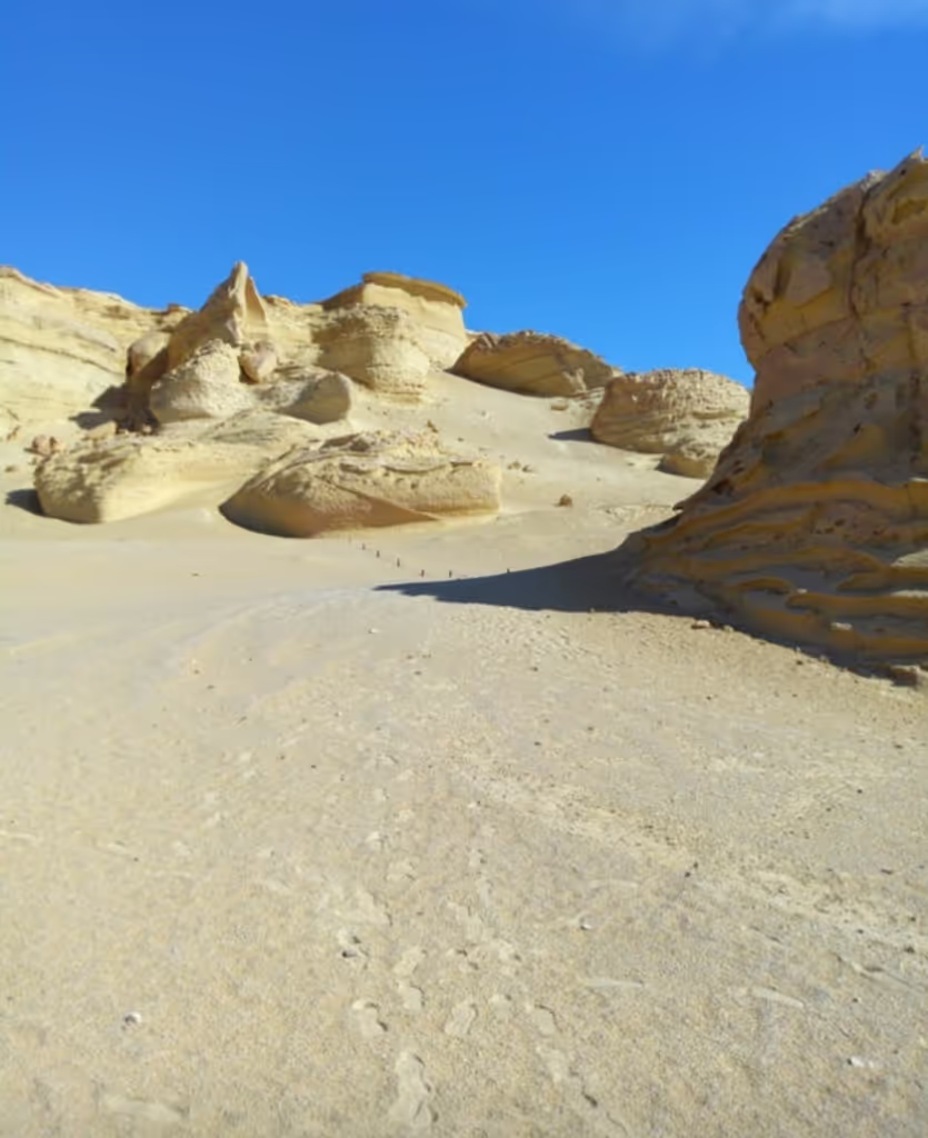Cairo Private Tour - 