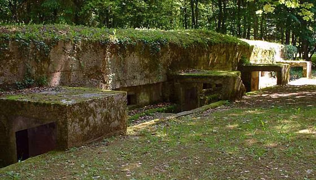 Reims Private Tour - Command Post, Bois des Cauress