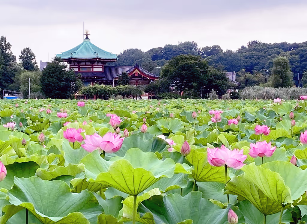 Tokyo Private Tour - Ueno-Bentendou-temple