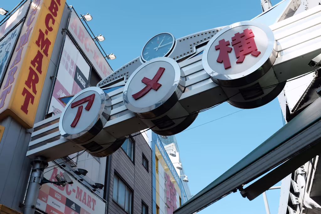 Tokyo Private Tour - ameyoko-street