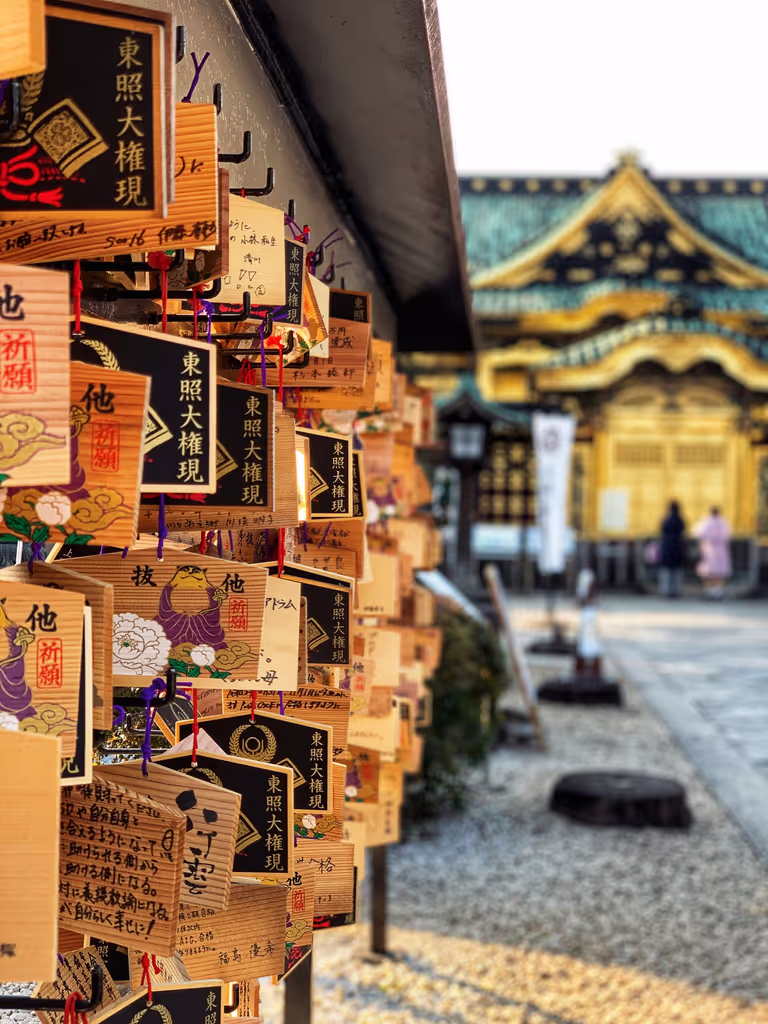 Tokyo Private Tour - Ueno-tousyougu-shrine