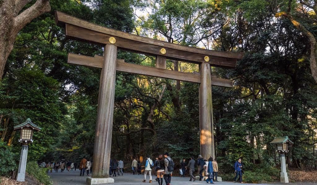 Tokyo Private Tour - Meiji Shrine