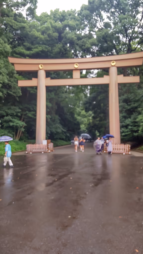 Tokyo Private Tour - First Torii Gate of Meiji Jingu Shrine
