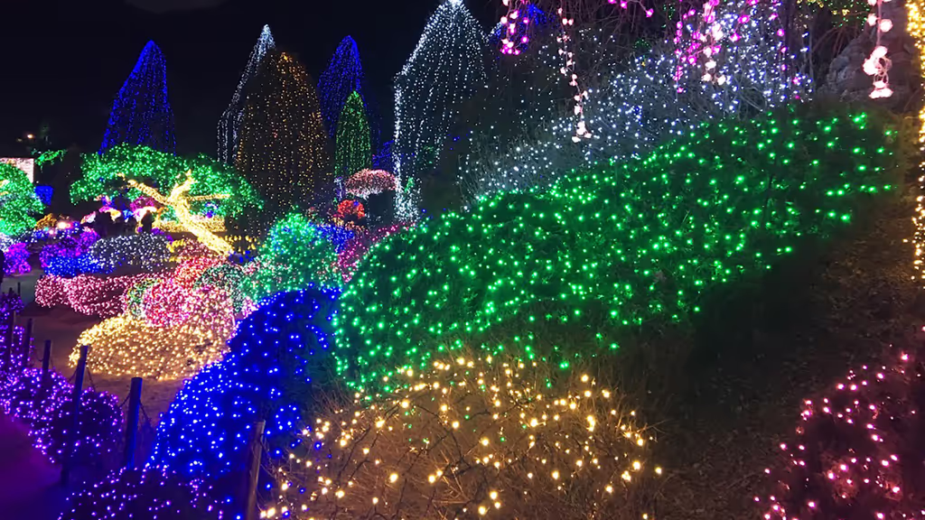 Seoul Private Tour - 