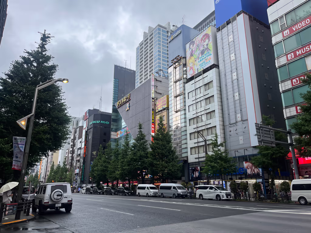 Tokyo Private Tour - Akihabara : Marin Street