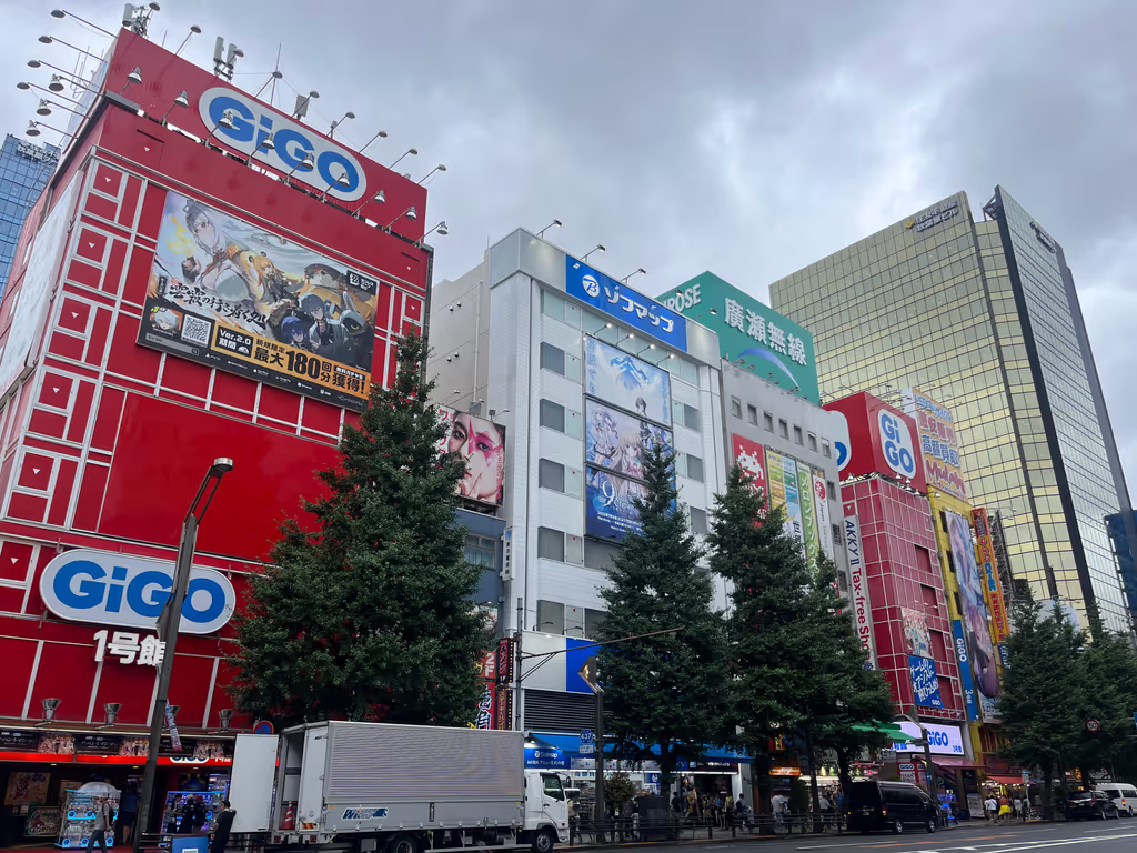 Tokyo Private Tour - Akihbara : Main Street