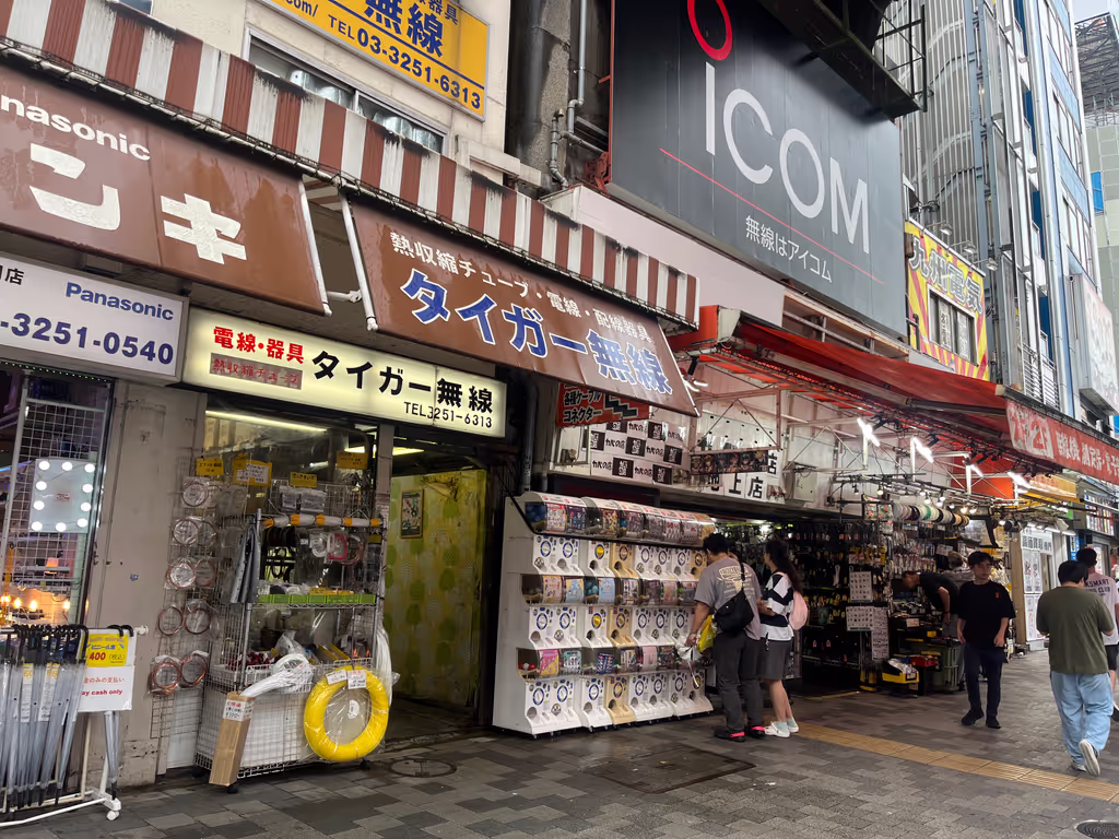 Tokyo Private Tour - Akihabara : Electric Parts Shops & Gachapon