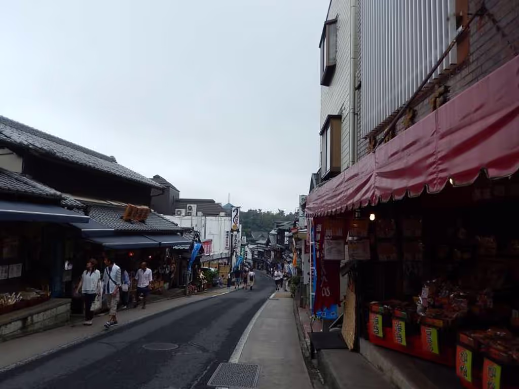 Narita Private Tour - Omotesando street