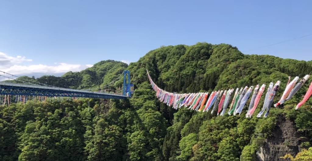 Ibaraki Private Tour - Ryujin suspension bridge