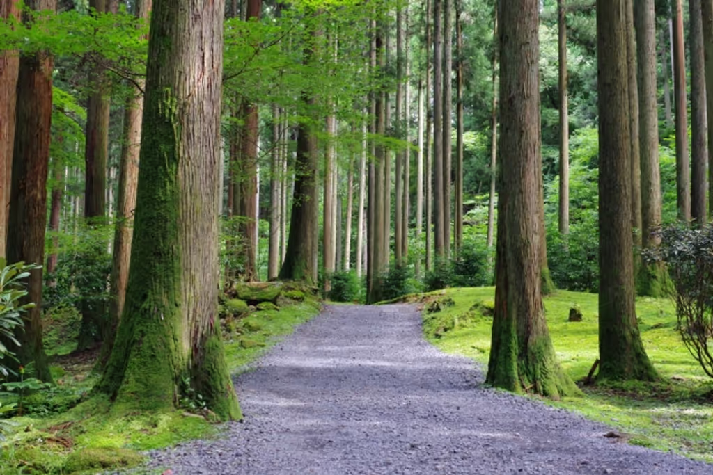 Ibaraki Private Tour - Oiwa mountain