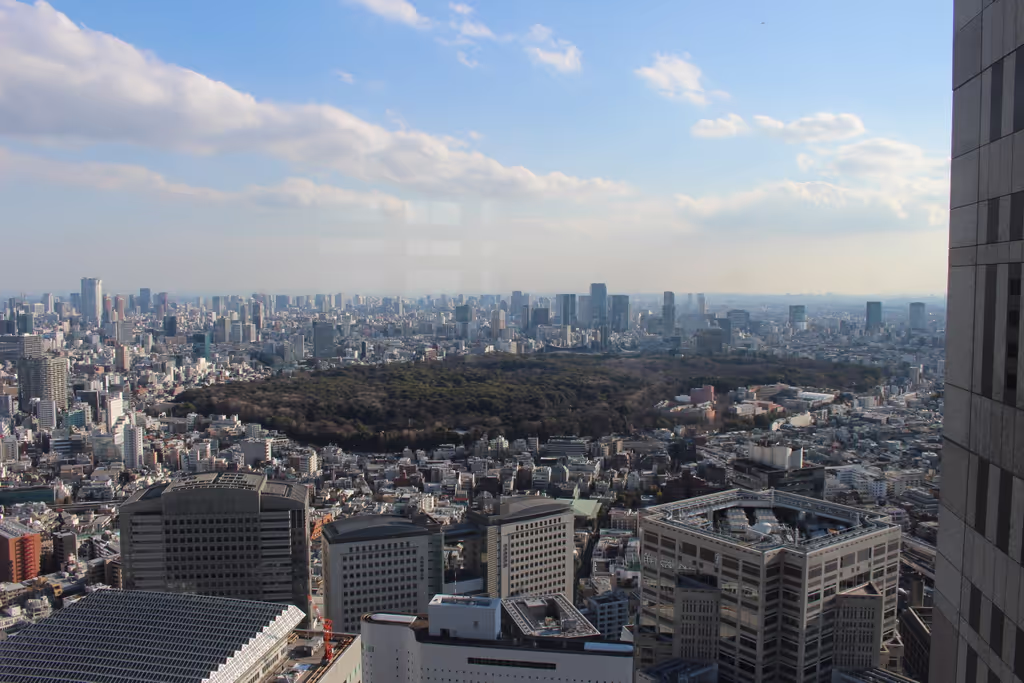 Tokyo Private Tour - Panorama view from City Hall