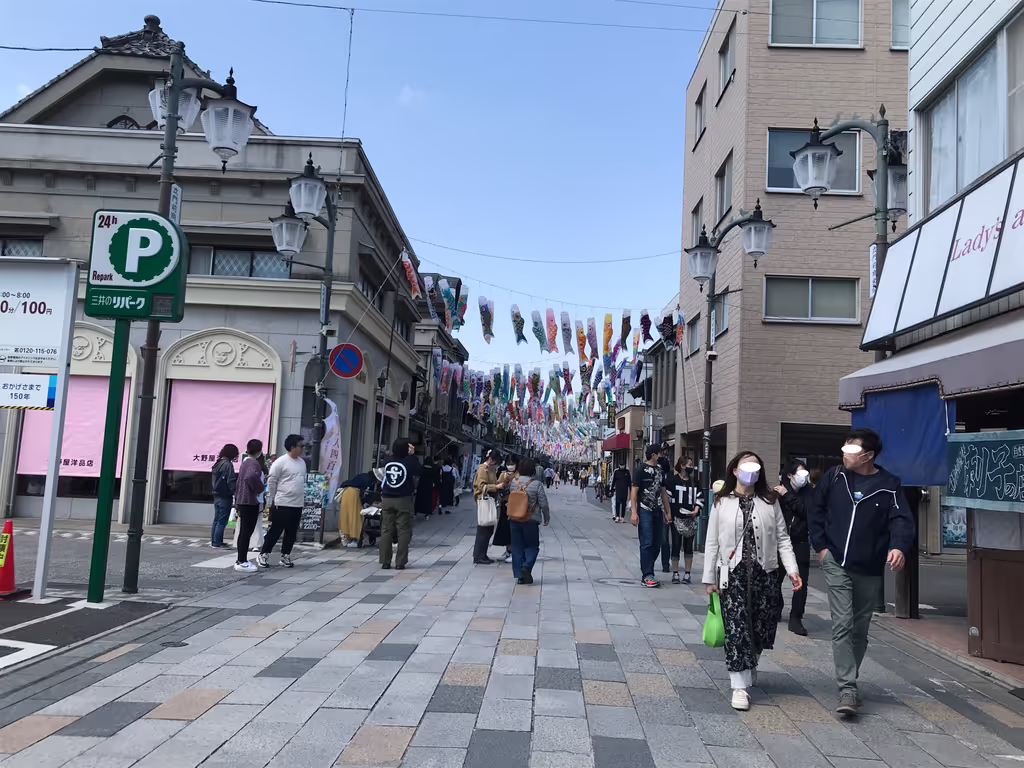 Tokyo Private Tour - Street with carp streamers