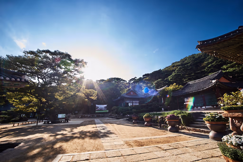 Seoul Private Tour - 
