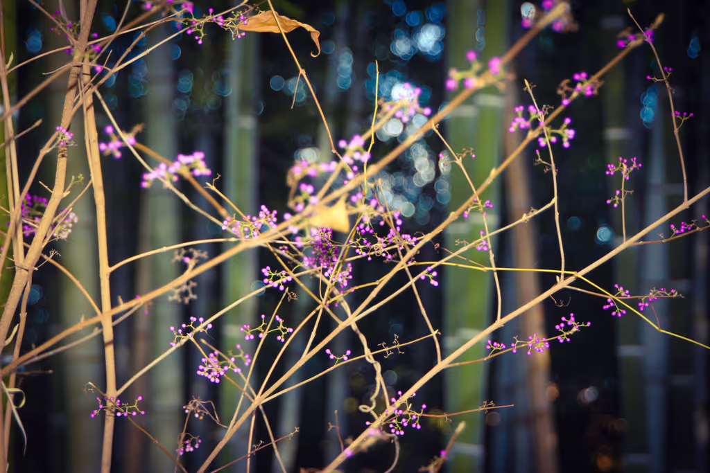 Nagoya Private Tour - 