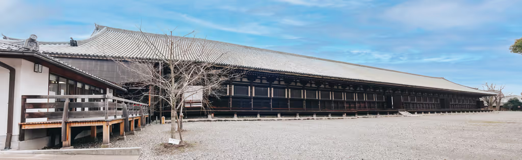 Osaka Private Tour - 