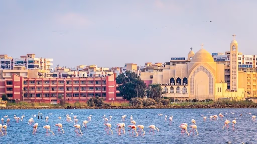 Cairo Private Tour - 