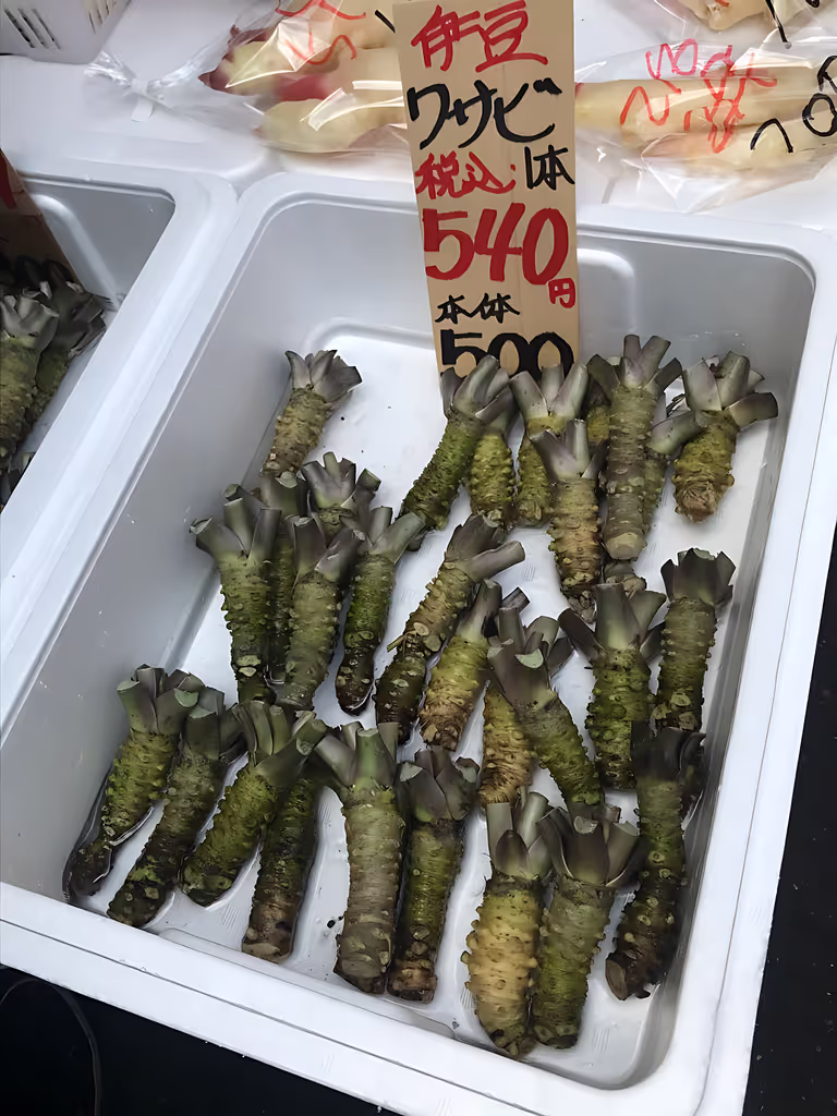 Tokyo Private Tour - Tsukiji's Eye-Opening Encounter