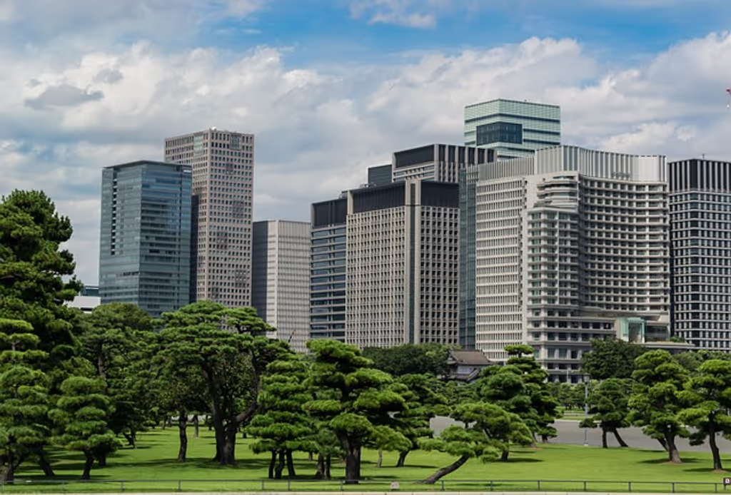 Tokyo Private Tour - City of Tokyo
