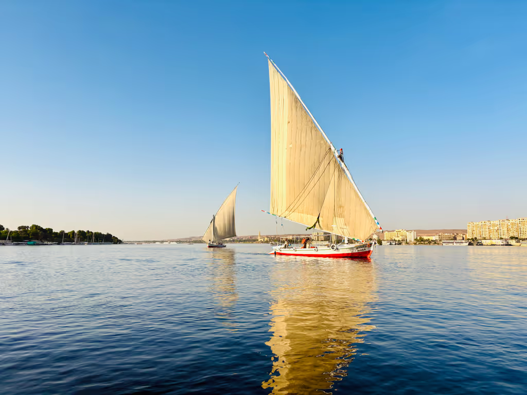 Aswan Private Tour - 