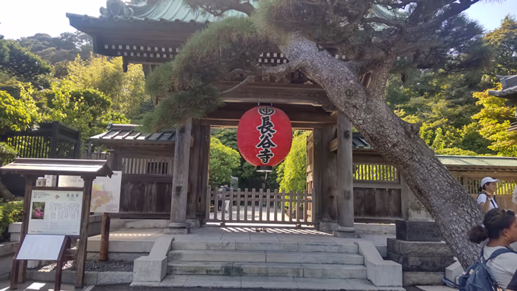 Tokyo Private Tour - Entrance of Hasedera Temple