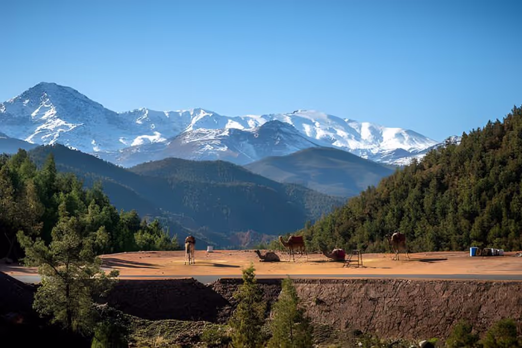 Marrakech Private Tour - 