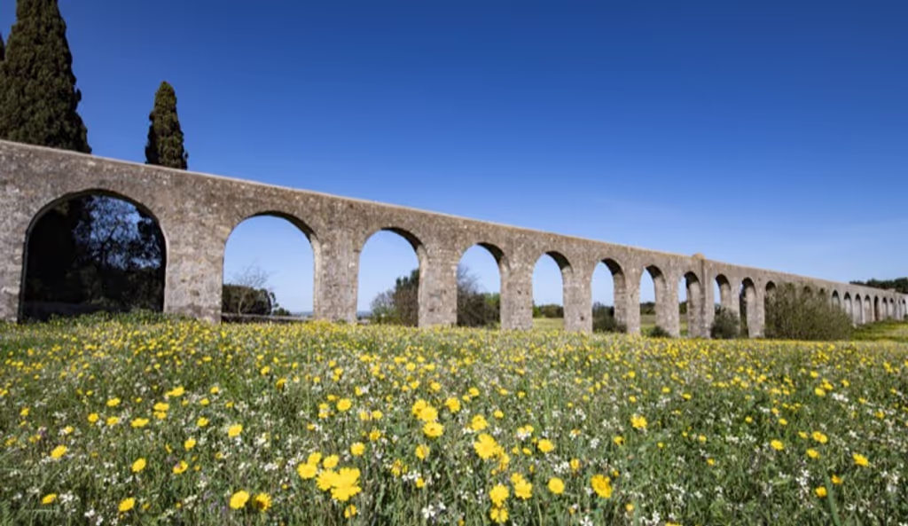 Lisbon Private Tour - Acqueduct