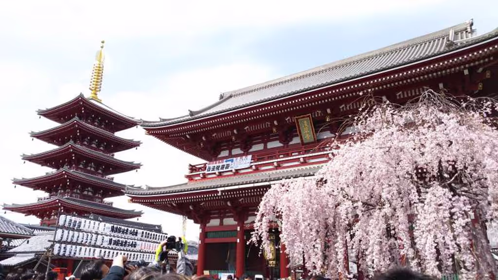 Tokyo Private Tour - Sensoji temple