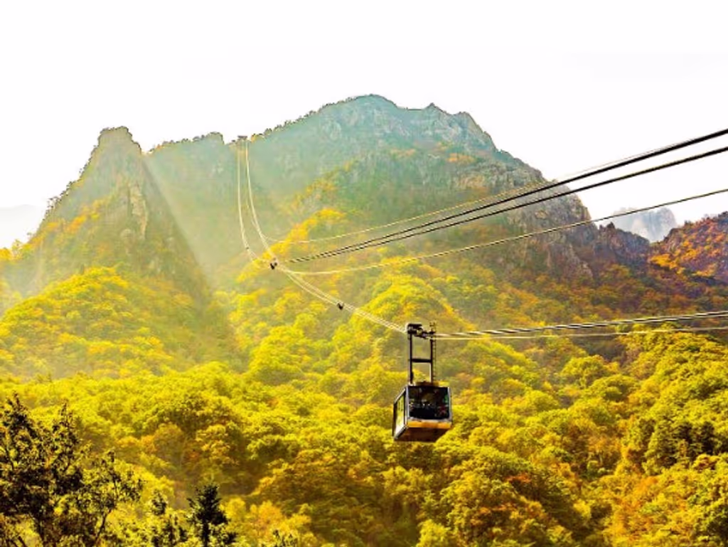 Seoul Private Tour - 