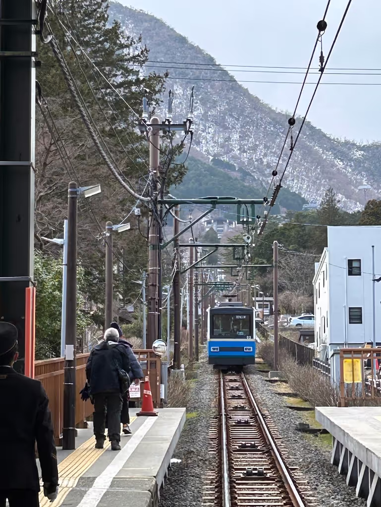 Tokyo Private Tour - Gora