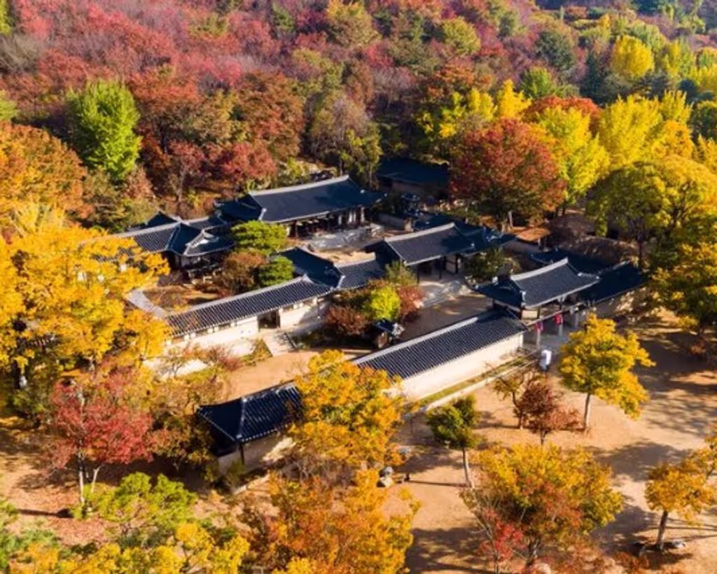 Seoul Private Tour - 