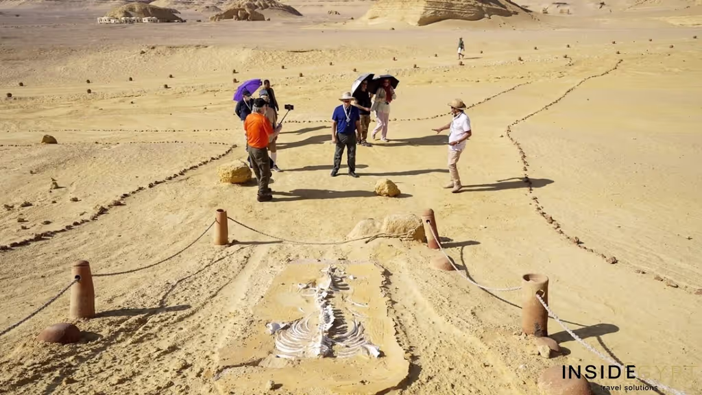 Cairo Private Tour - whales valley