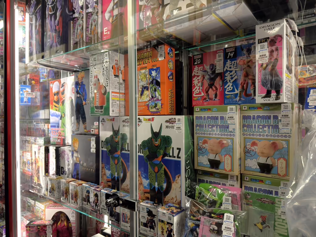 Tokyo Private Tour - Lots of local anime and otaku shops in Ikebukuro