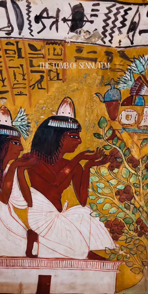 Luxor Private Tour - 