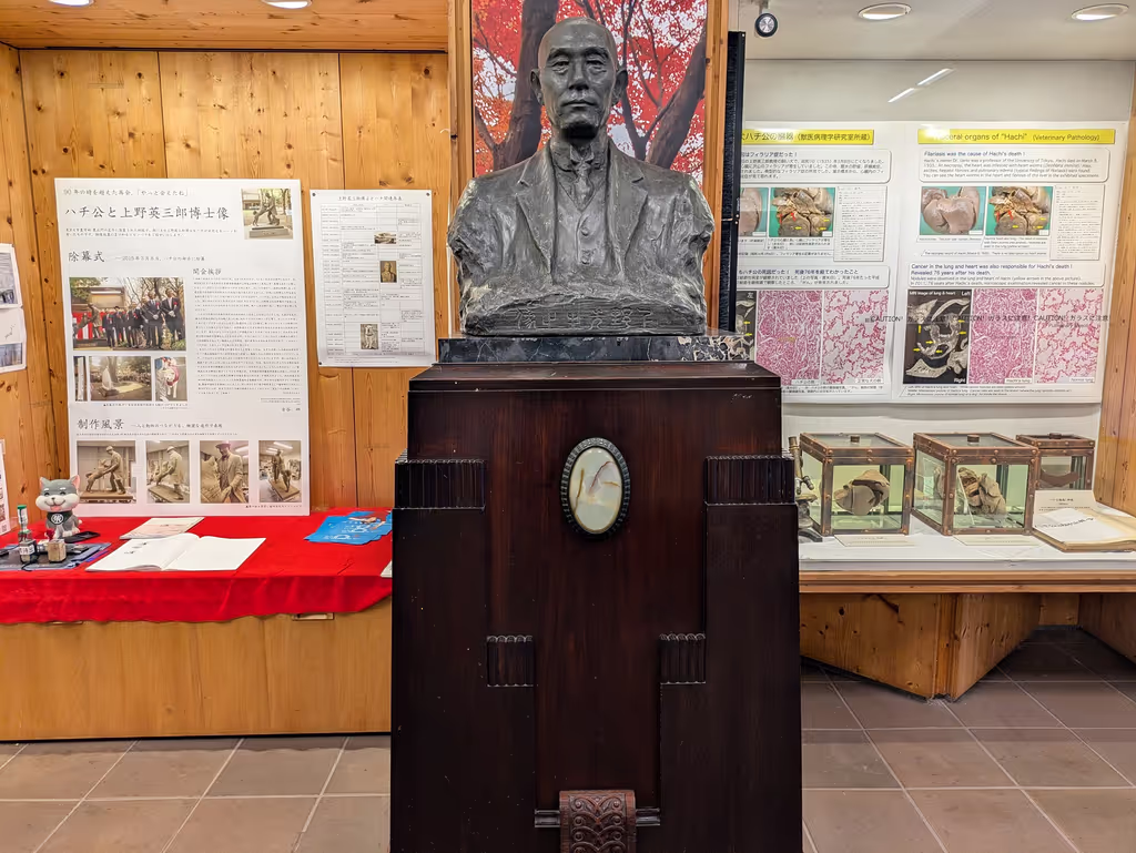 Tokyo Private Tour - 