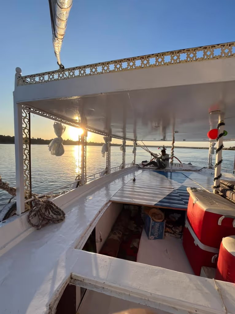 Aswan Private Tour - 