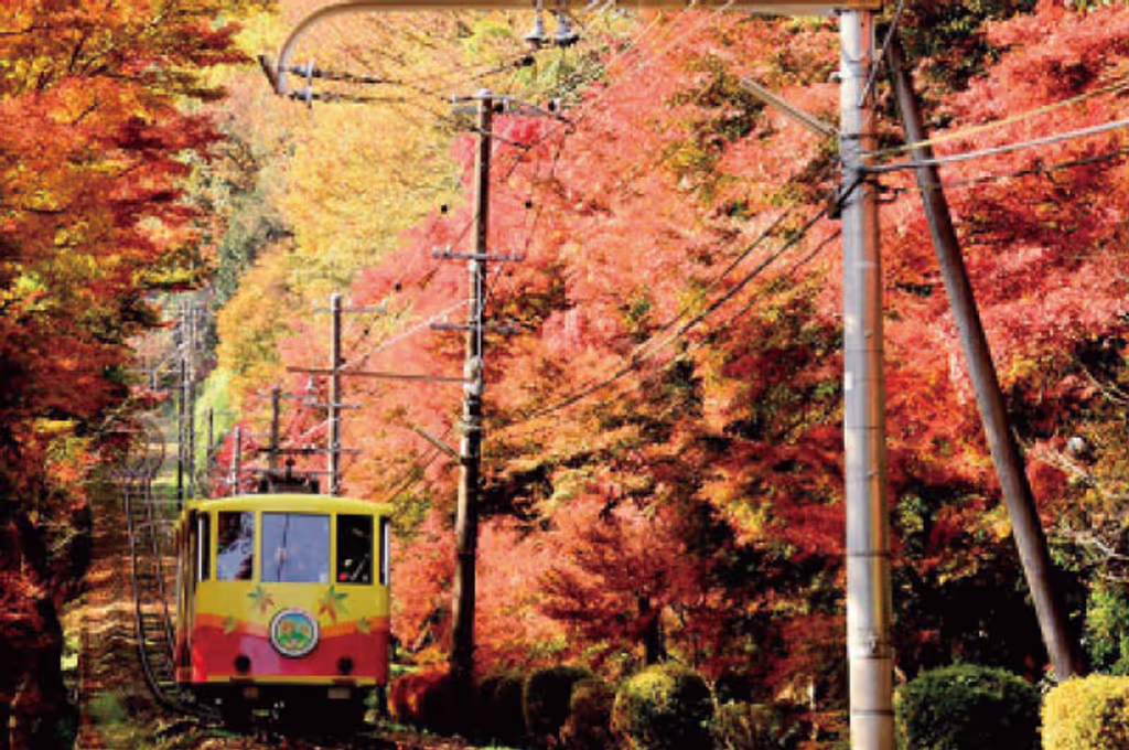 Tokyo Private Tour - Mt. Takao
