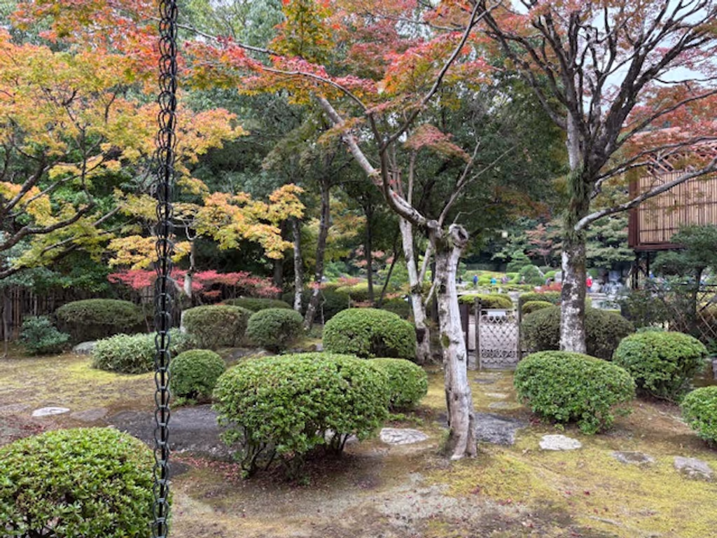 Fukuoka Private Tour - Japanese Garden