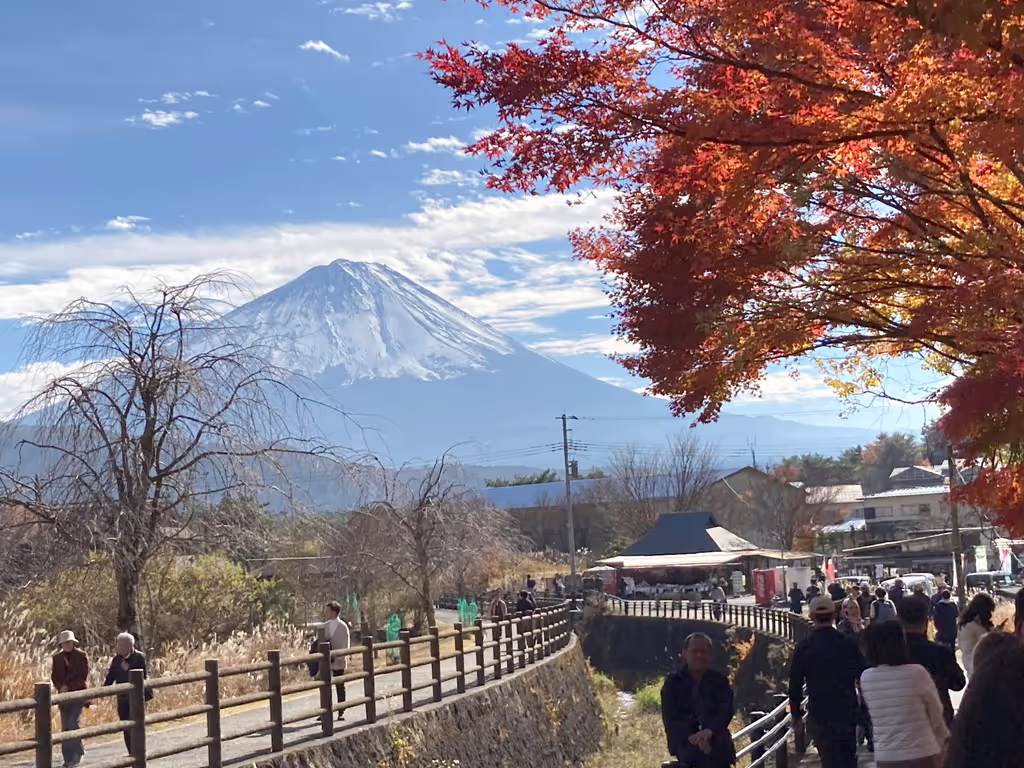 Shimizu Private Tour - Saiko Healing Village