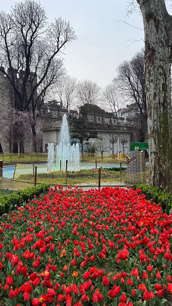 Istanbul Private Tour - Beautifiul Gardens