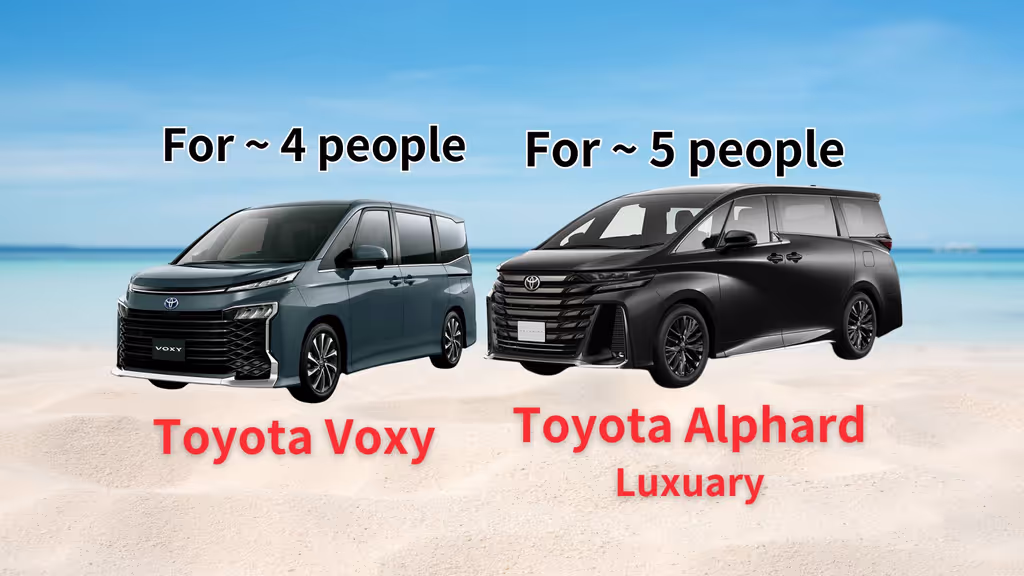 Tokyo Private Tour - Toyota Voxy/Alphard