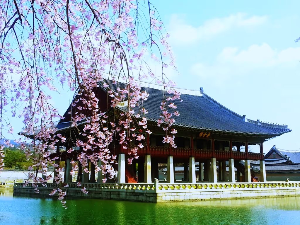 Seoul Private Tour - Gyeongbok palace