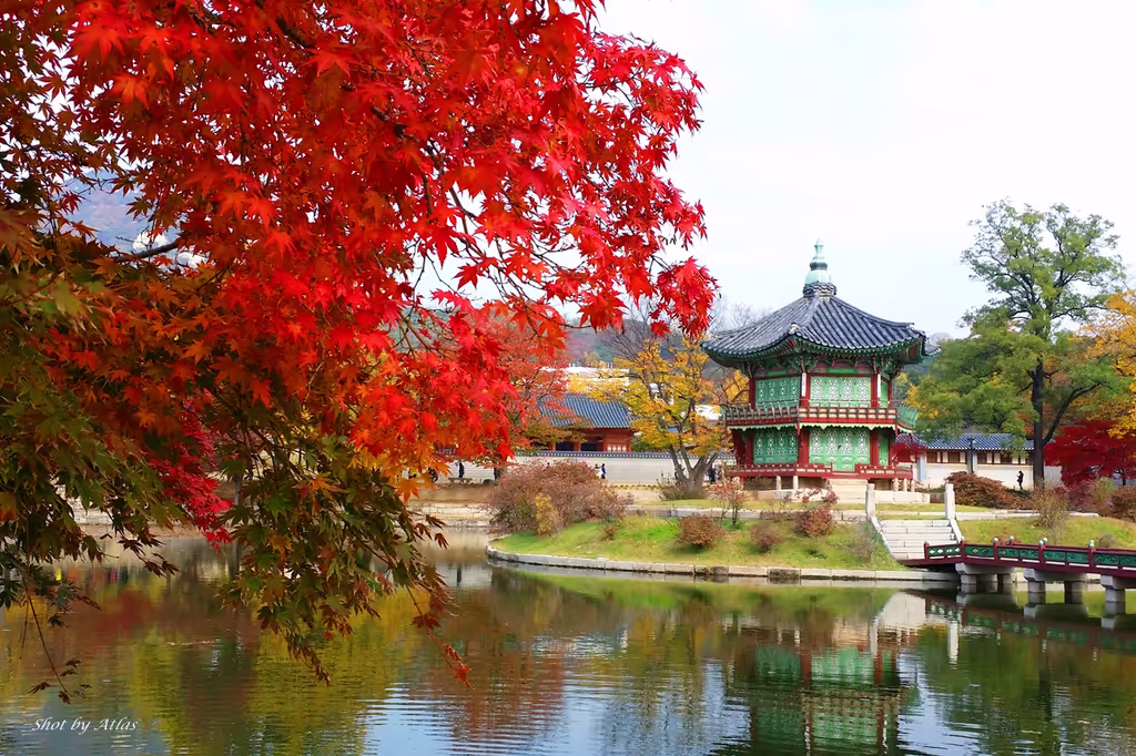 Seoul Private Tour - Gyeongbok palace