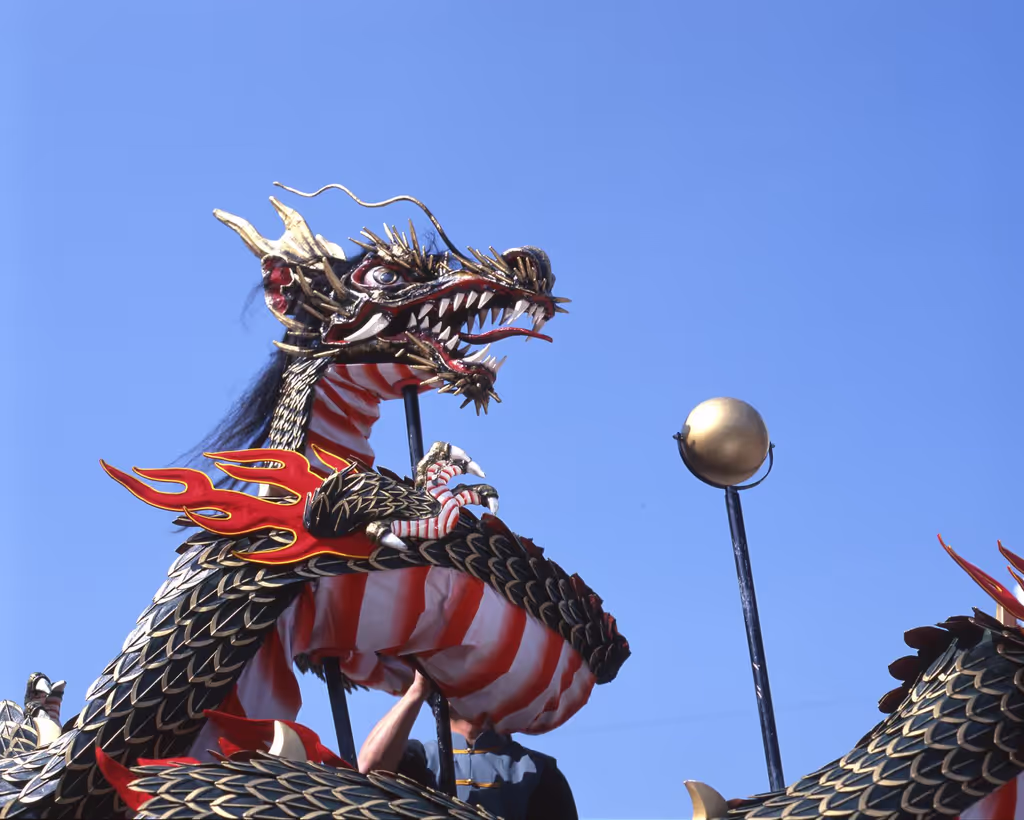 Fukuoka Private Tour - Dragon Dance