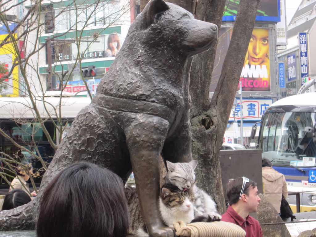 Tokyo Private Tour - Royal dog Hachi